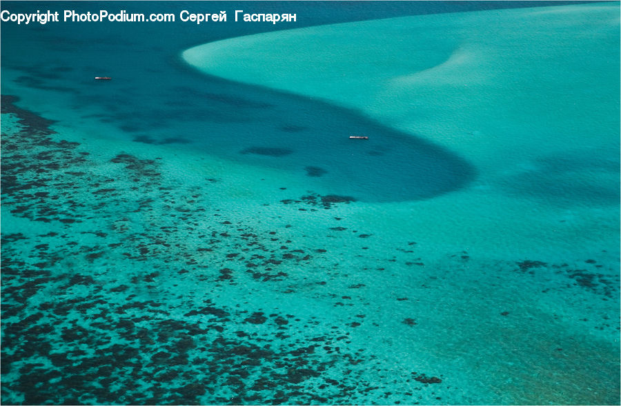 Coral Reef, Outdoors, Reef, Sea, Sea Life, Water