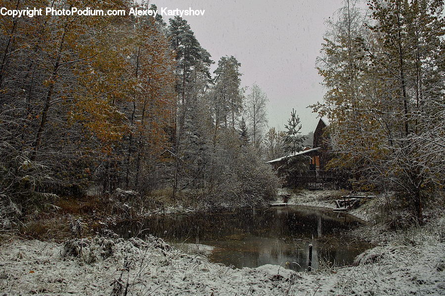 Frost, Ice, Outdoors, Snow, Creek, River, Water