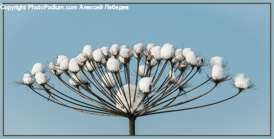 Art, Modern Art, Garlic, Plant, Bird, Grouse, Ptarmigan