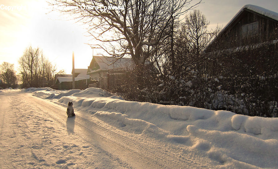Blizzard, Outdoors, Snow, Weather, Winter, Sand, Soil