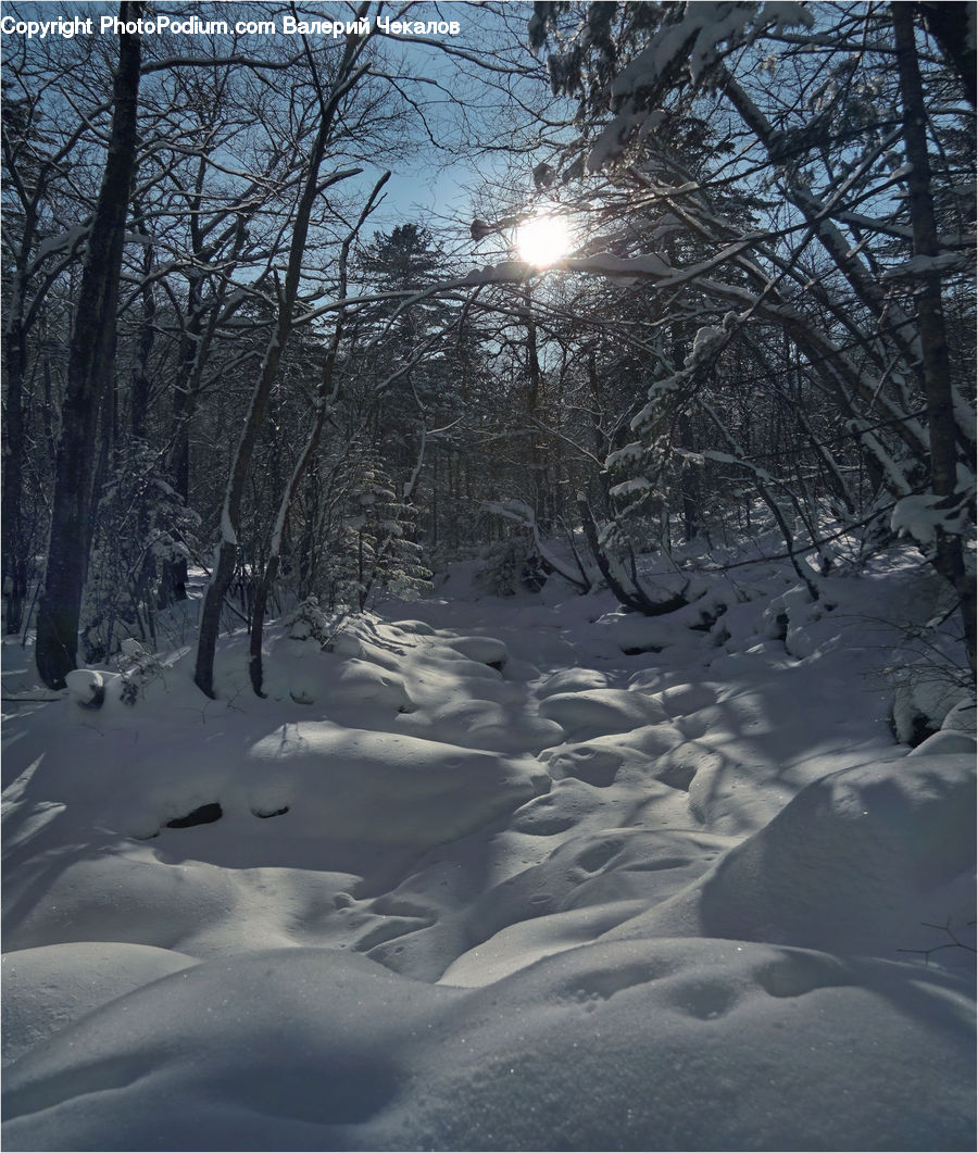 Blizzard, Outdoors, Snow, Weather, Winter, Landscape, Nature