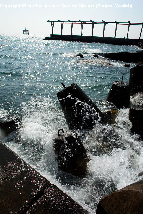 Coast, Outdoors, Sea, Water, Animal, Fish, Mammal