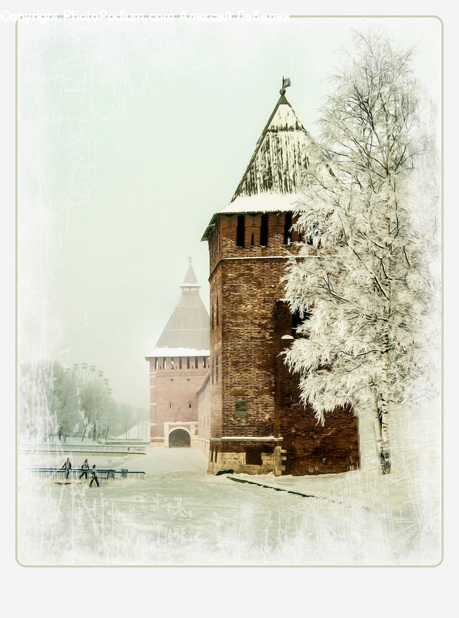 Architecture, Bell Tower, Clock Tower, Tower, Plant, Tree