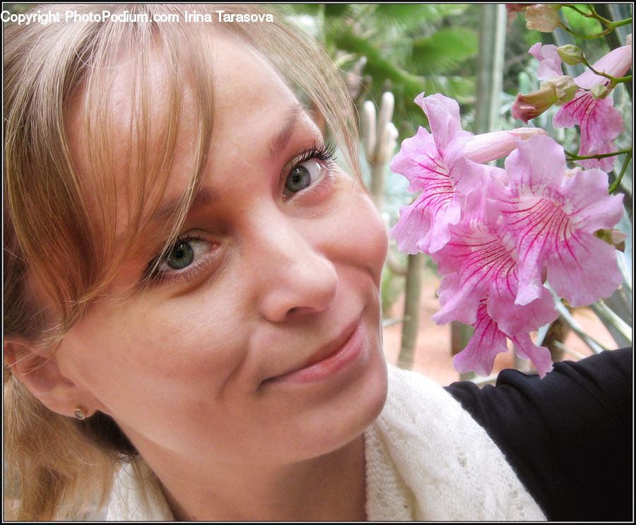 Human, People, Person, Flora, Flower, Gladiolus, Plant