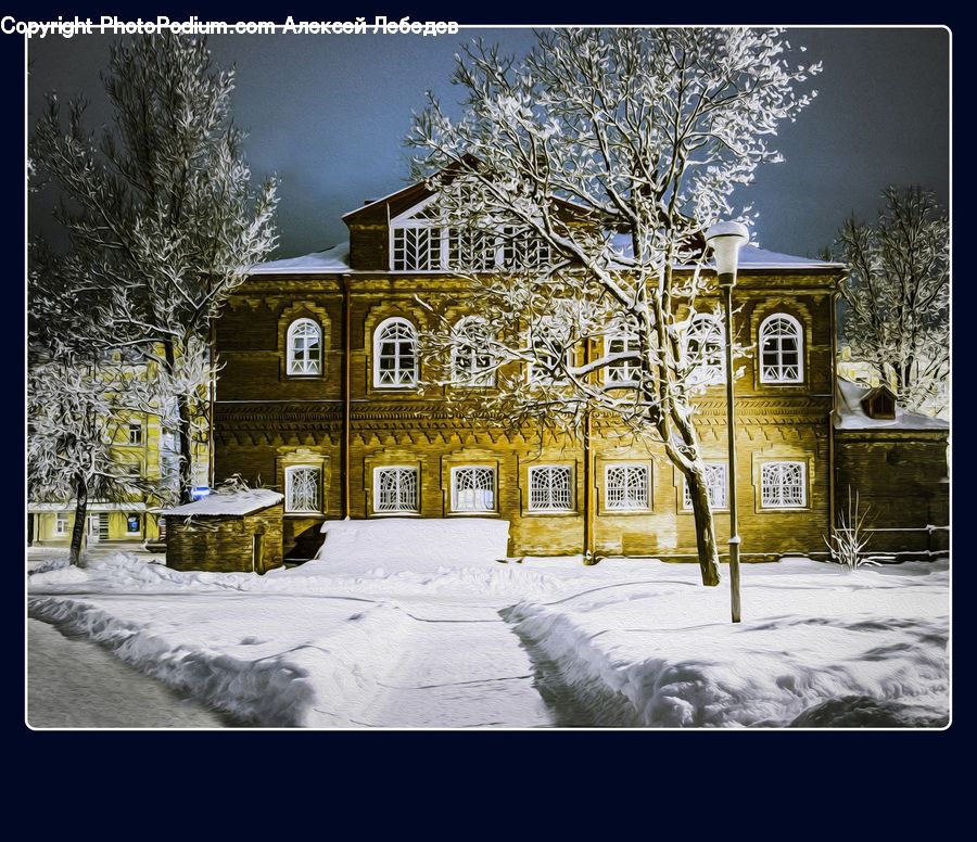 Architecture, Mansion, Ice, Outdoors, Snow, Plant, Tree