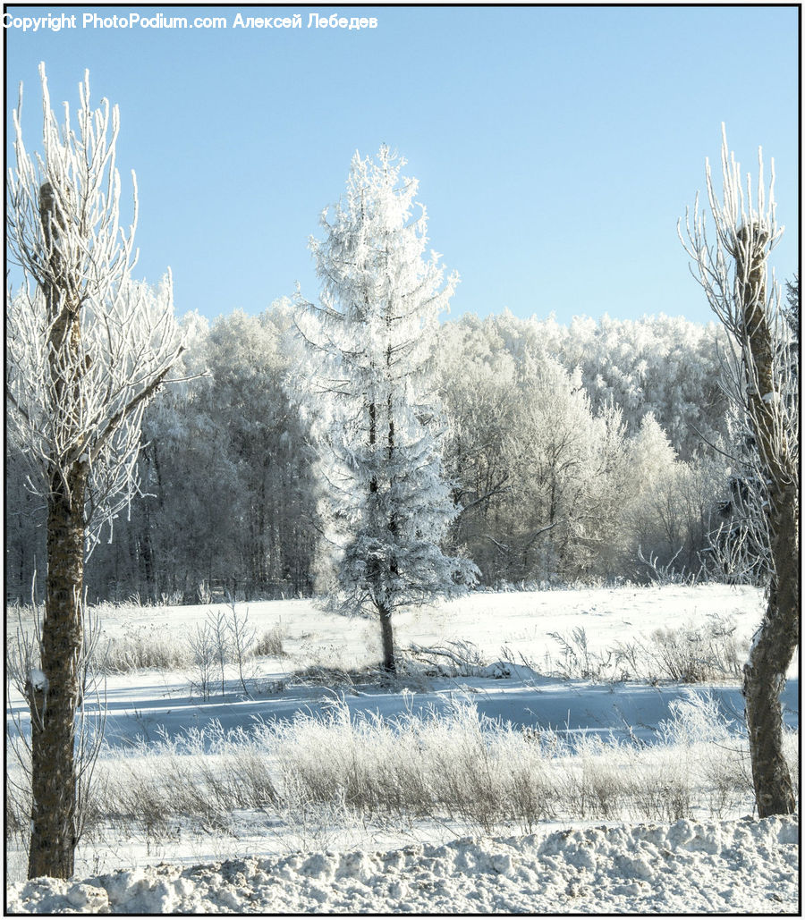 Frost, Ice, Outdoors, Snow, Landscape, Nature, Scenery