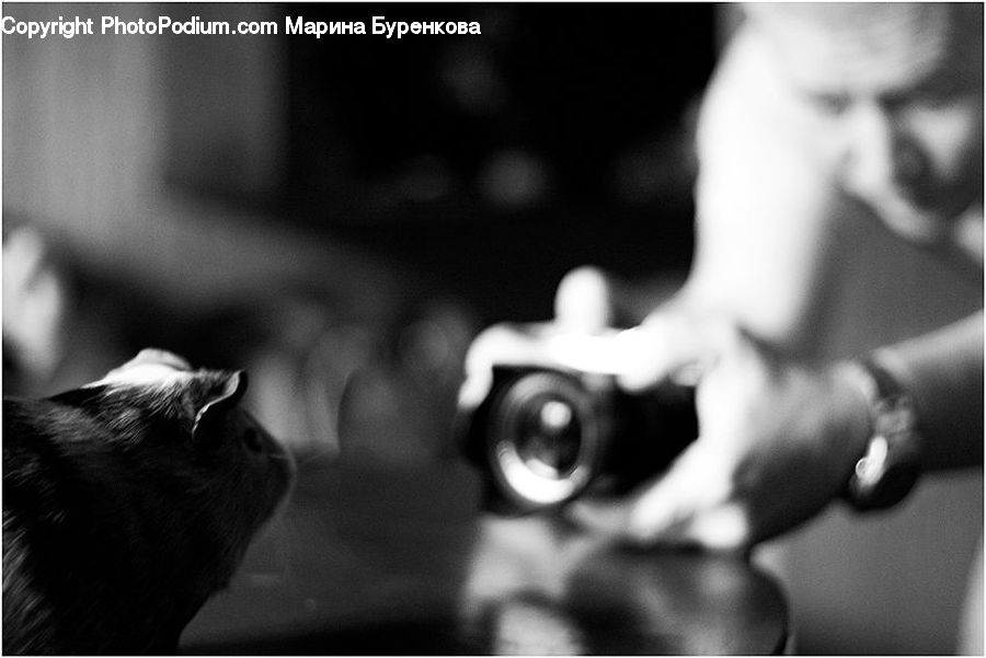 People, Person, Human, Camera, Electronics, Animal, Head