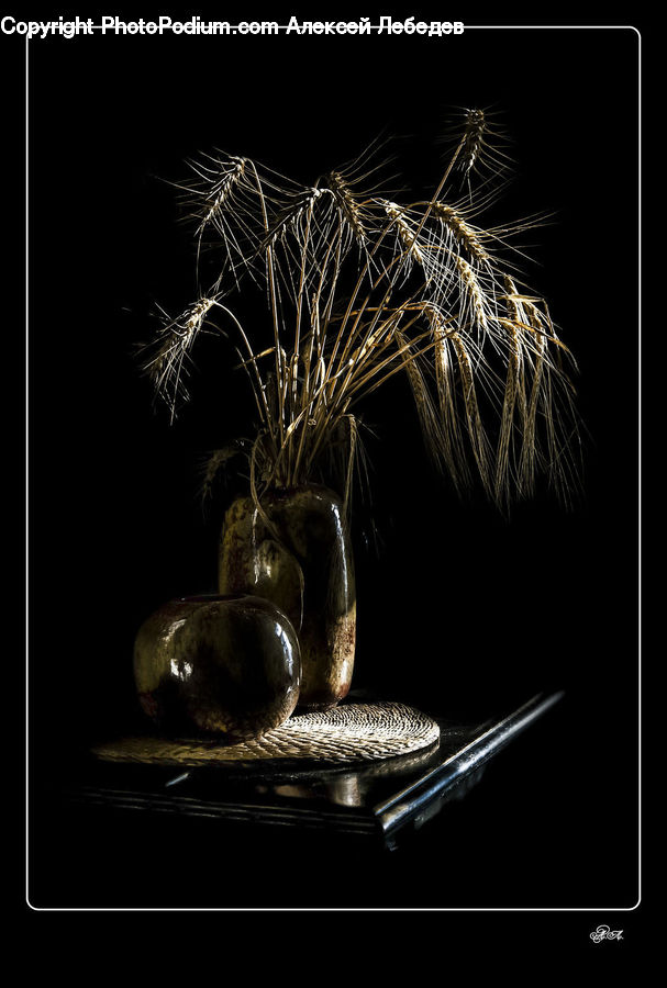 Rock, Plant, Art, Modern Art, Flower Arrangement, Ikebana, Potted Plant