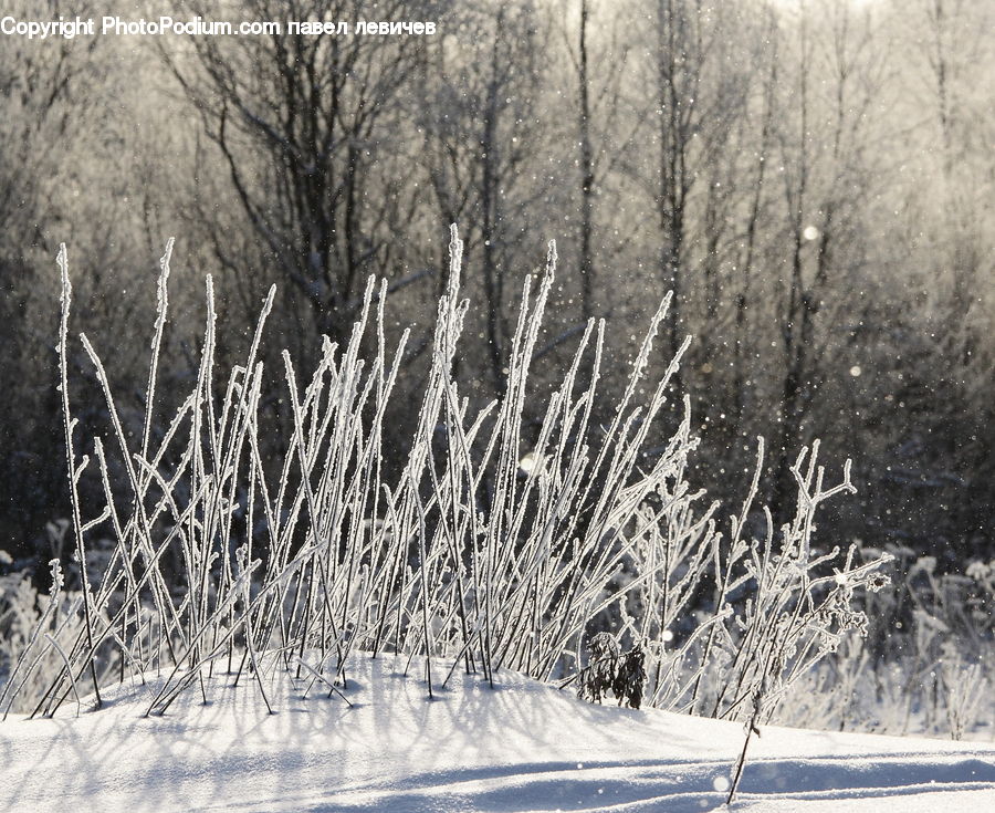 Ice, Outdoors, Snow, Landscape, Nature, Scenery, Field