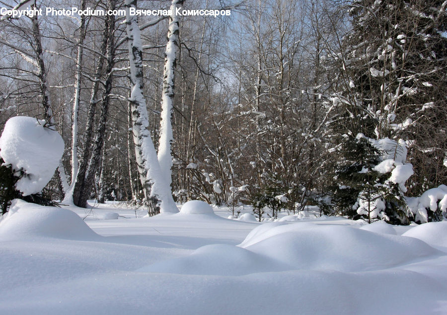 Landscape, Nature, Scenery, Blizzard, Outdoors, Snow, Weather