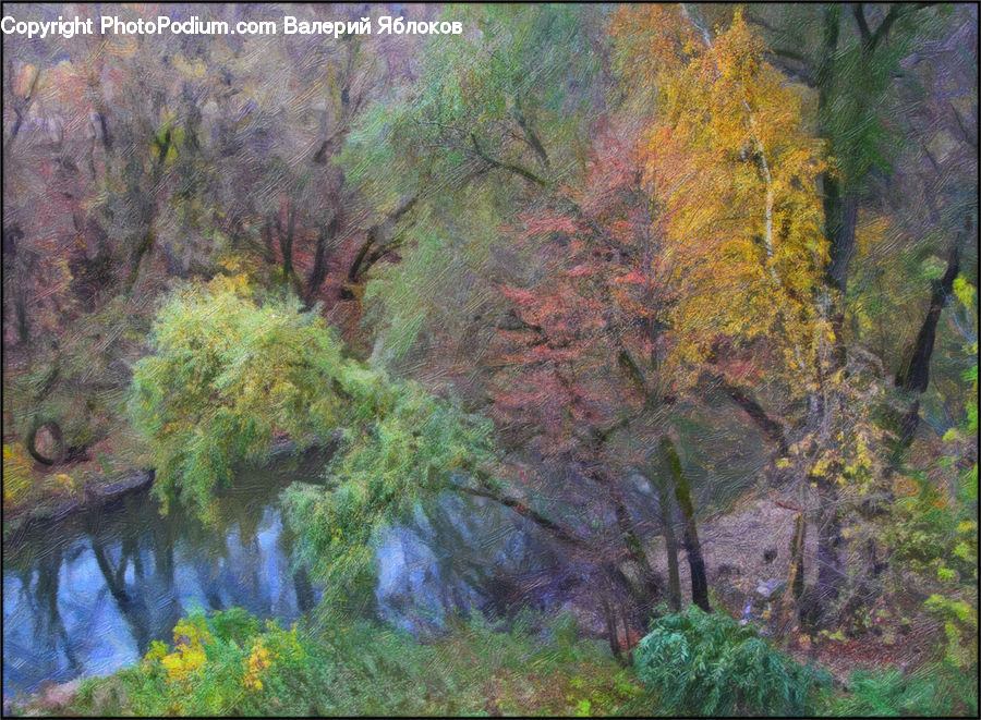 Plant, Tree, Art, Outdoors, Pond, Water, Forest