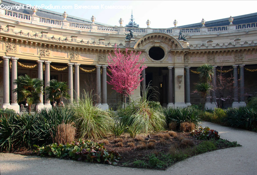 Plant, Potted Plant, Building, Housing, Villa, Aloe, Blossom