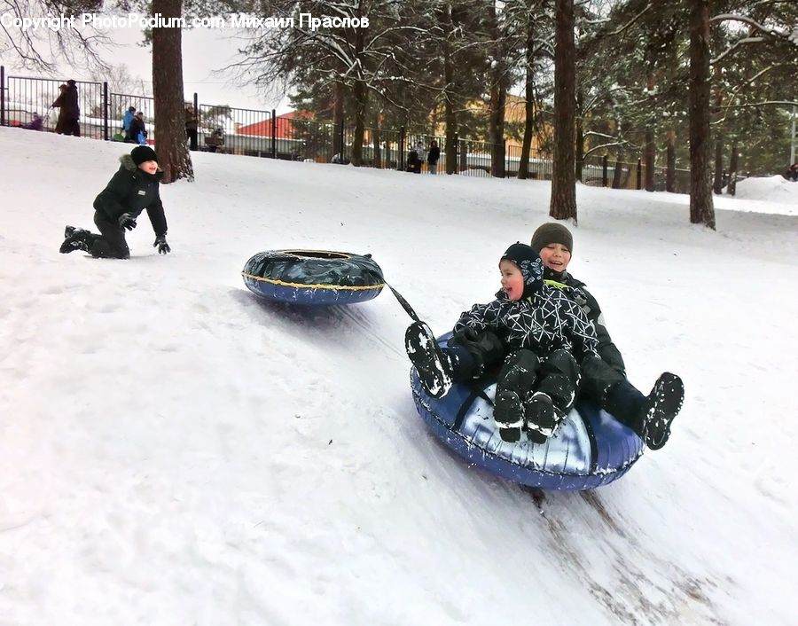 People, Person, Human, Sled, Piste, Slide, Snow
