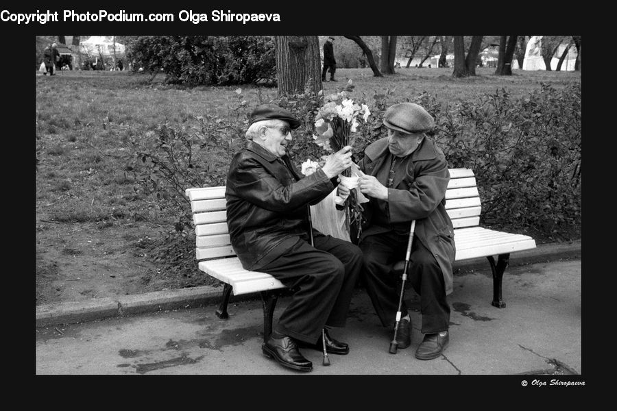 People, Person, Human, Park Bench, Bench