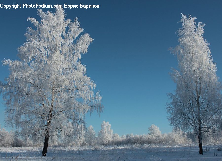 Frost, Ice, Outdoors, Snow, Landscape, Nature, Scenery