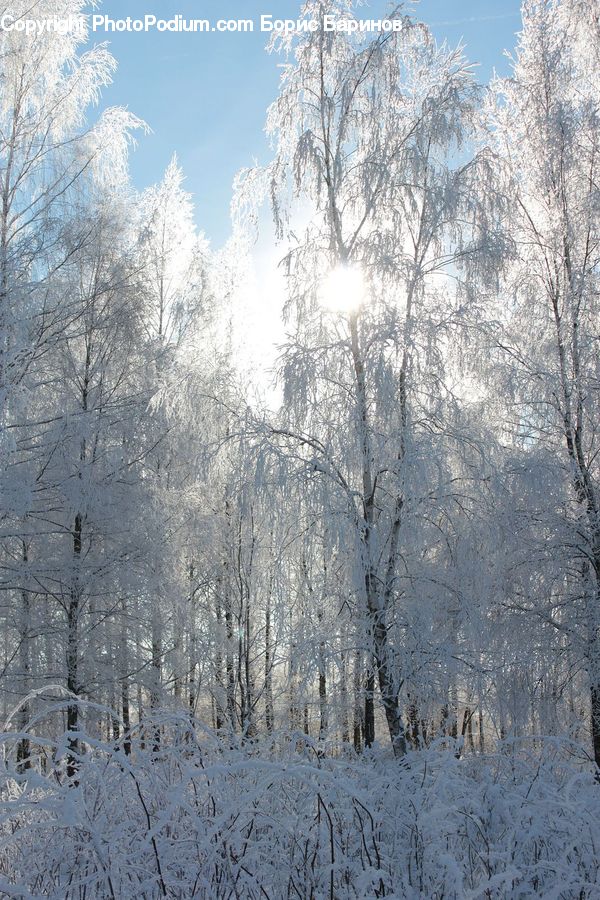 Frost, Ice, Outdoors, Snow, Landscape, Nature, Scenery
