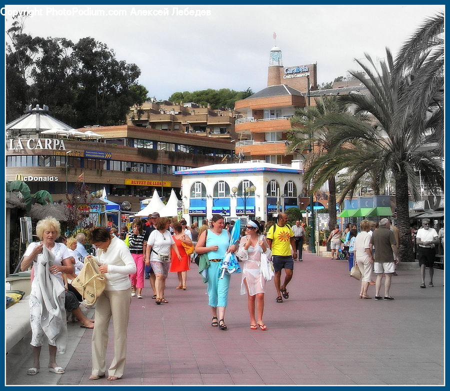 Human, People, Person, Crowd, Carnival, Festival, Parade