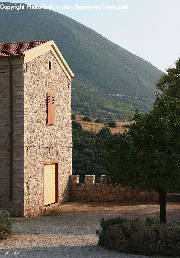 Bush, Plant, Vegetation, Architecture, Bell Tower, Clock Tower, Tower