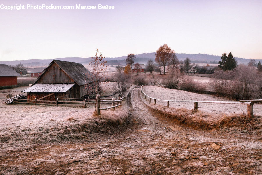 Frost, Ice, Outdoors, Snow, Dirt Road, Gravel, Road