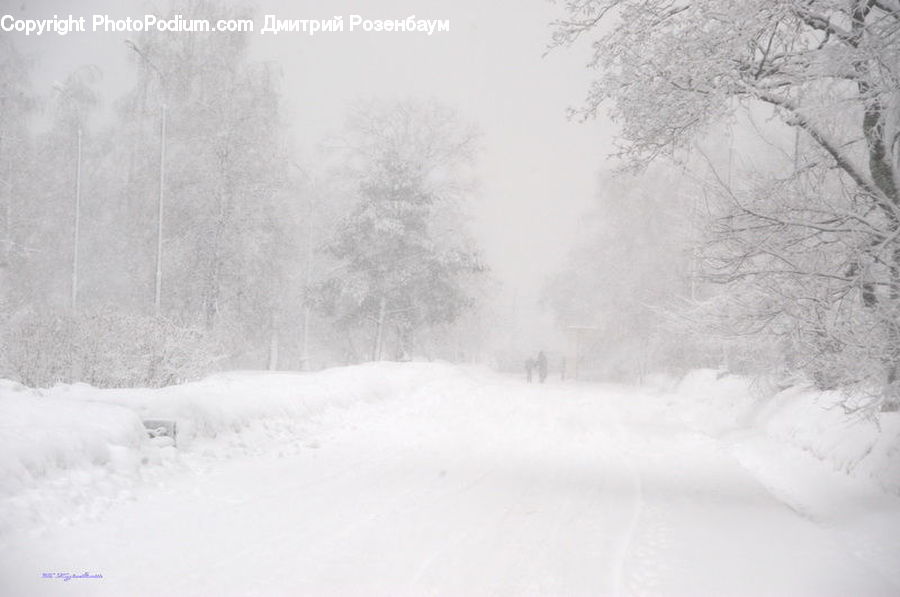 Blizzard, Outdoors, Snow, Weather, Winter, Ice