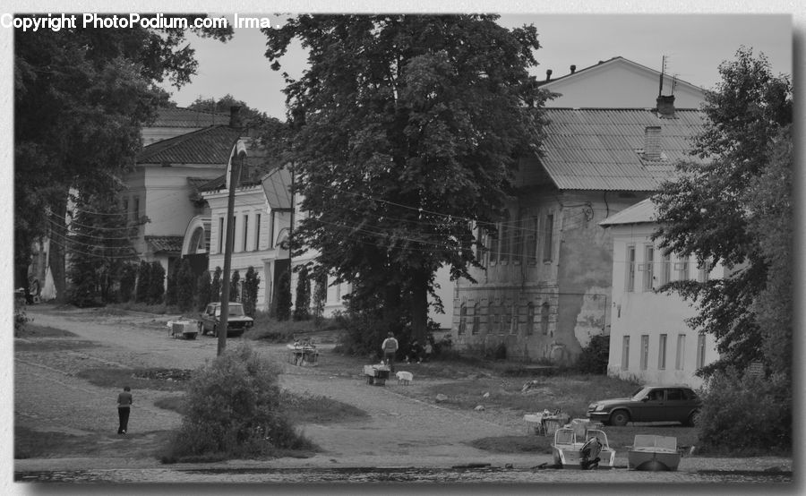 Building, Housing, Villa, Plant, Tree, Automobile, Car