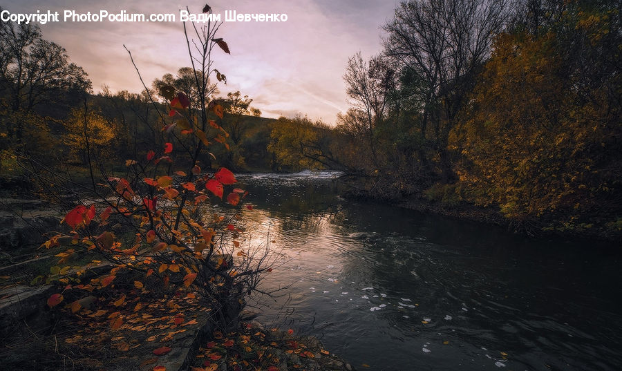 Art, Outdoors, River, Water, Land, Marsh, Pond