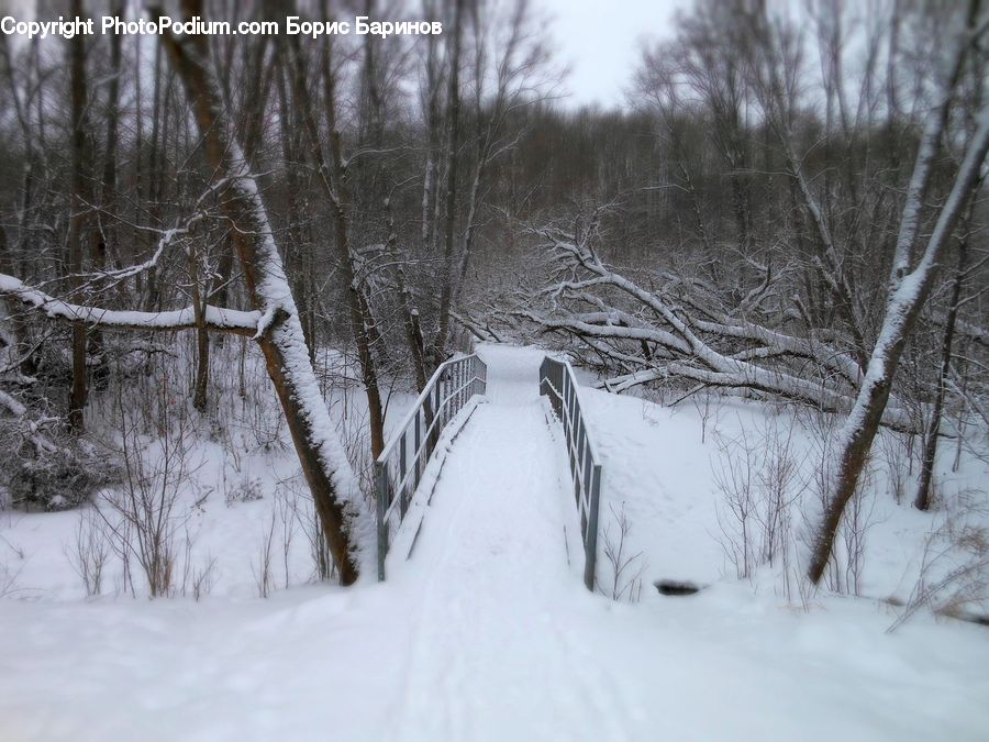 Ice, Outdoors, Snow, Dirt Road, Gravel, Road, Birch
