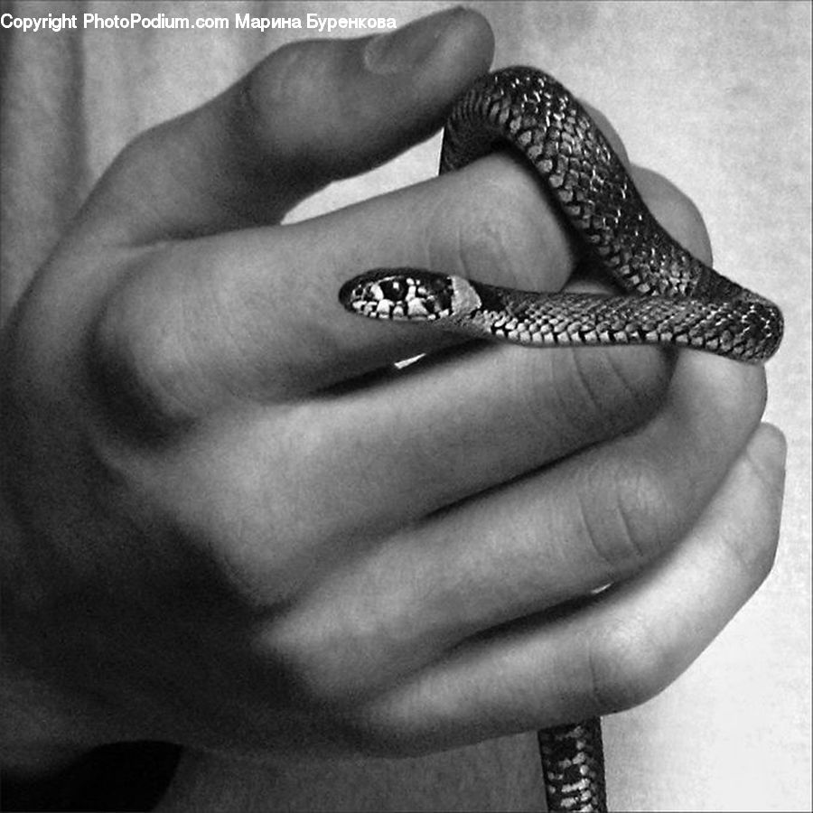 Human, People, Person, Jewelry, Ring, Finger, Hand