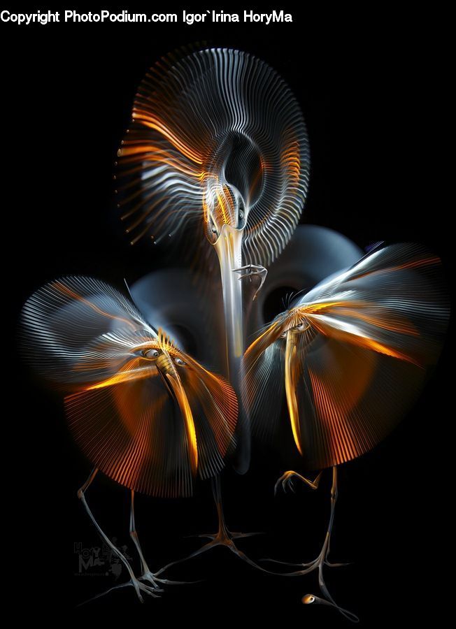Fractal, Art, Modern Art