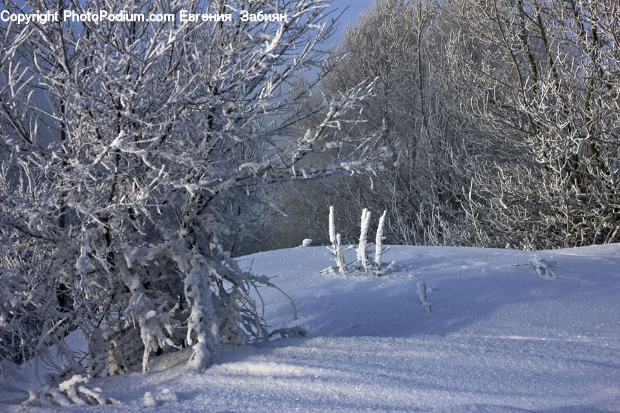 Piste, Skiing, Slide, Snow, Sport, Landscape, Nature