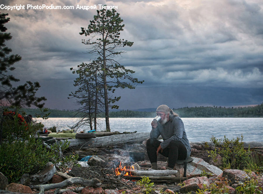 People, Person, Human, Plant, Potted Plant, Bonfire, Campfire