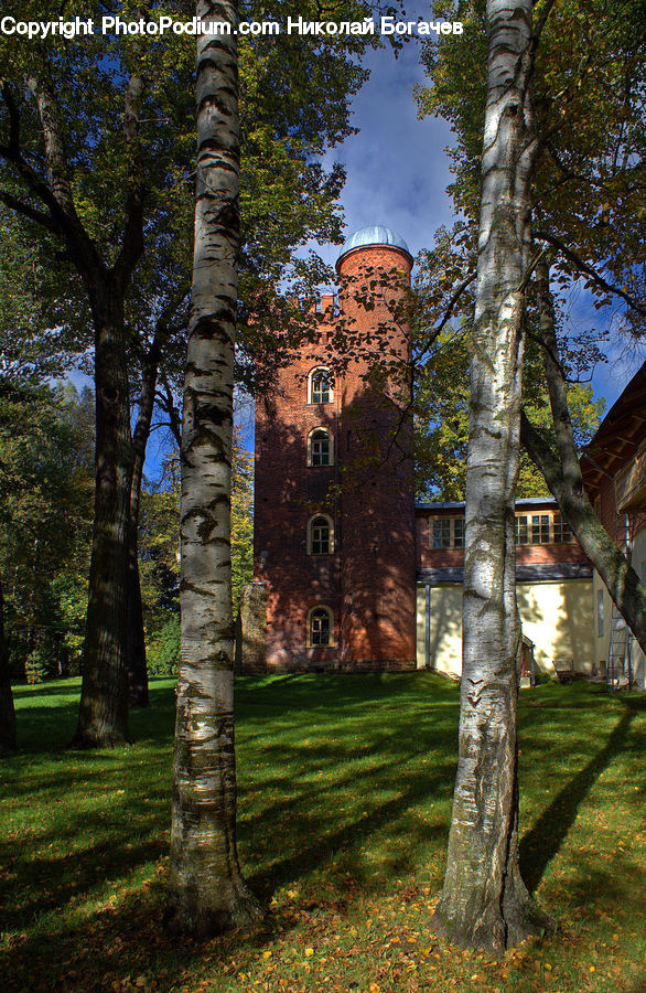 Birch, Tree, Wood, Brick, Tiki, Totem, Building