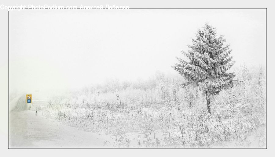 Blizzard, Outdoors, Snow, Weather, Winter, Ice