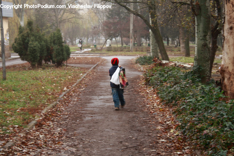 Human, People, Person, Yard, Path, Road, Walkway