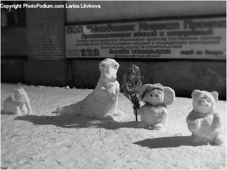 Ice, Snow, Snowman, Winter, People, Person, Human