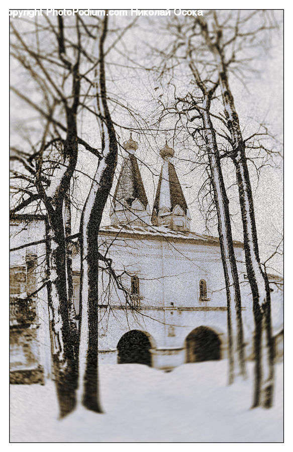 Plant, Potted Plant, Art, Drawing, Architecture, Bell Tower, Clock Tower