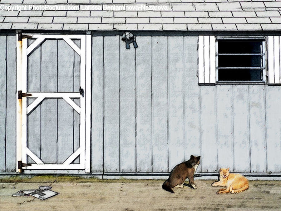 Animal, Cat, Mammal, Pet, Canine, Dog, German Shepherd