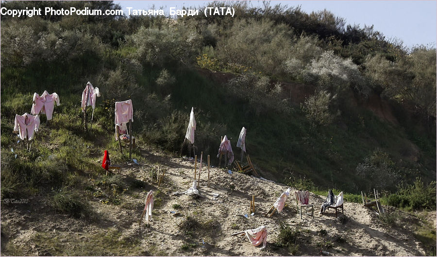 Landslide, Bush, Plant, Vegetation, Outdoors, Wilderness, Soil