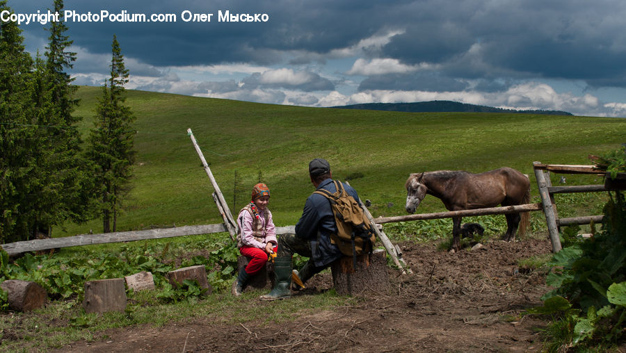 People, Person, Human, Animal, Horse, Mammal, Planting