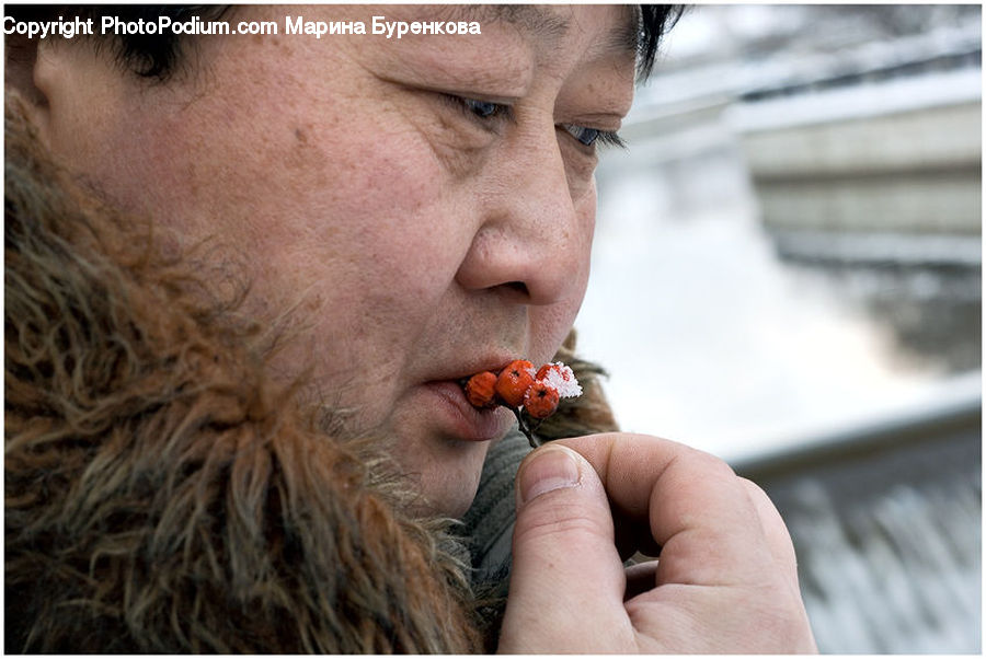 People, Person, Human, Eating, Bird, Finch