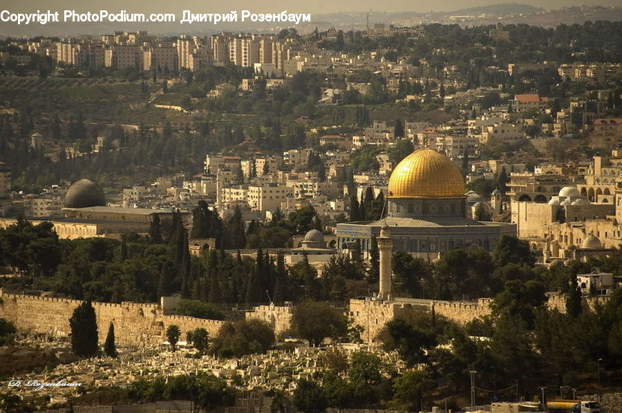 Architecture, Dome, Mosque, Worship, City, Downtown, Shrine