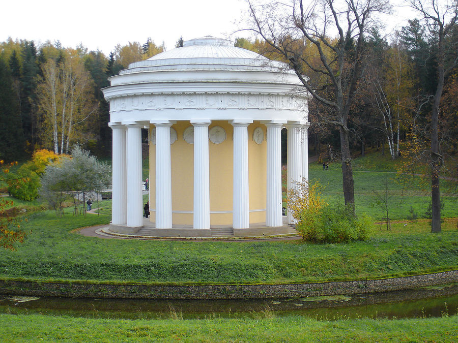 Gazebo, Backyard, Yard, Architecture, Dome, Conifer, Fir