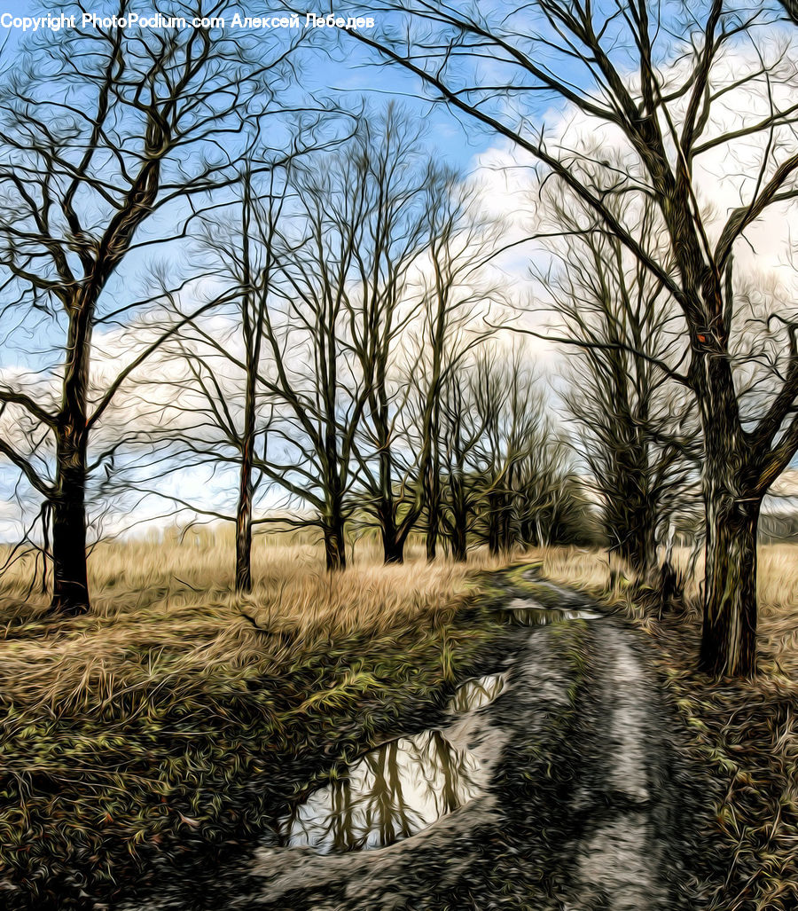Dirt Road, Gravel, Road, Field, Grass, Grassland, Plant