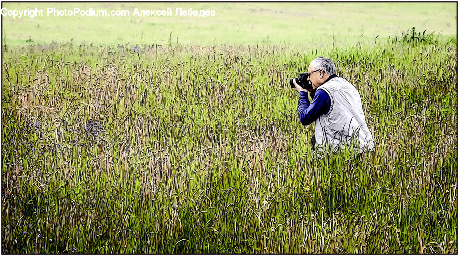 People, Person, Human, Field, Countryside, Grass, Grassland