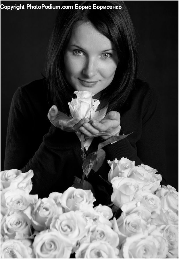 People, Person, Human, Flower, Flower Arrangement, Flower Bouquet, Blossom