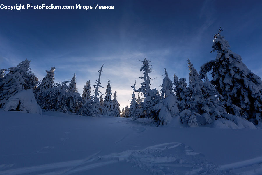 Alps, Crest, Mountain, Peak, Ice, Outdoors, Snow