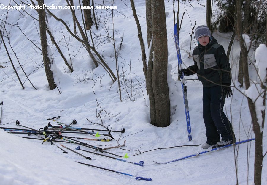 People, Person, Human, Piste, Skiing, Slide, Snow