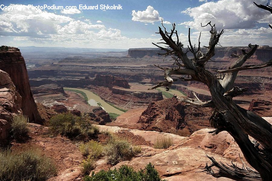 Driftwood, Wood, Outdoors, Canyon, Valley, Soil, Plateau