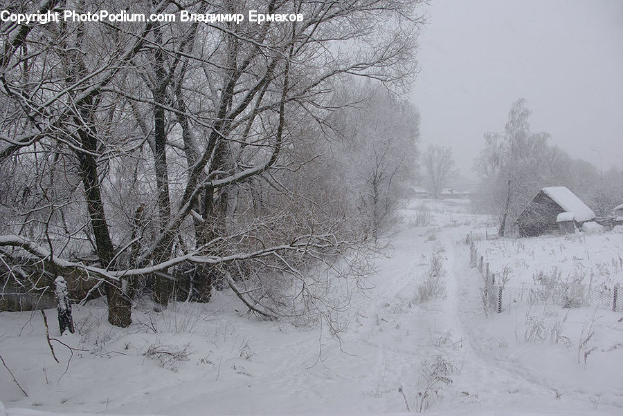 Blizzard, Outdoors, Snow, Weather, Winter, Ice