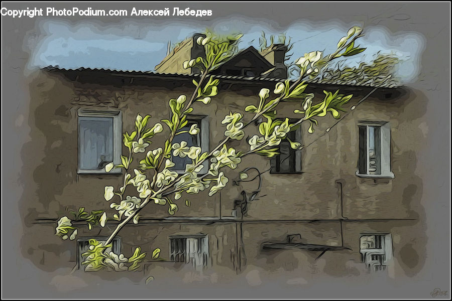 Art, Graffiti, Mural, Wall, Balcony, Building, Housing